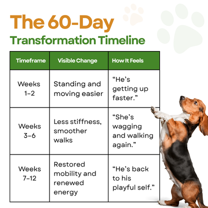 GreenKiss® Advanced Hip & Joint Support Soft Chews (Vet-formulated)