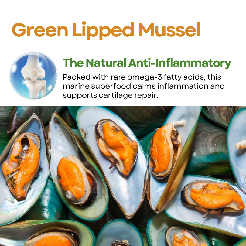 GreenKiss® Advanced Hip & Joint Support Soft Chews