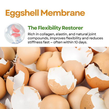 GreenKiss® Advanced Hip & Joint Support Soft Chews (Vet-formulated)