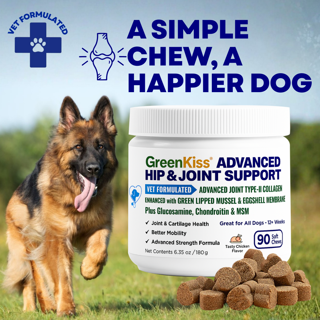 GreenKiss® Advanced Hip & Joint Support Soft Chews (Vet-formulated)